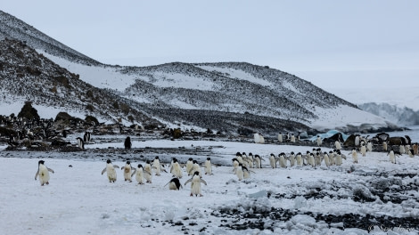 OTL21-22, Day 16, Brown Bluff 1 © Sara Jenner - Oceanwide Expeditions.jpg