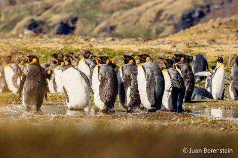 HDS21-22, Day 8, 2B5A0576 © Juan Berenstein - Oceanwide Expeditions.jpg