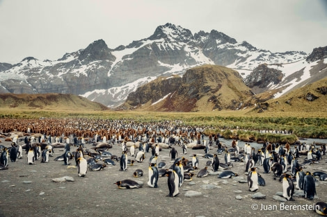 HDS21-22, Day 9, _Q9A8328 © Juan Berenstein - Oceanwide Expeditions.jpg