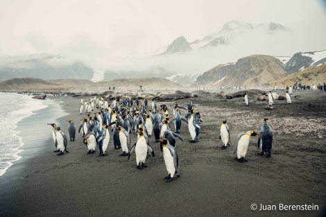 HDS21-22, Day 9, _Q9A8414 © Juan Berenstein - Oceanwide Expeditions.jpg