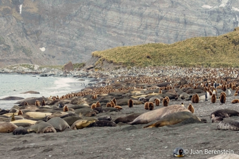 HDS21-22, Day 9, 2B5A1250 © Juan Berenstein - Oceanwide Expeditions.jpg