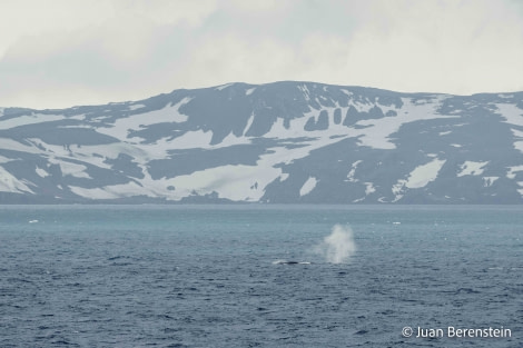 HDS21-22, Day 15, 2B5A2919 © Juan Berenstein - Oceanwide Expeditions.jpg