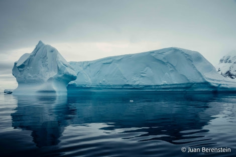 HDS21-22, Day 16, _Q9A8968 © Juan Berenstein - Oceanwide Expeditions.jpg