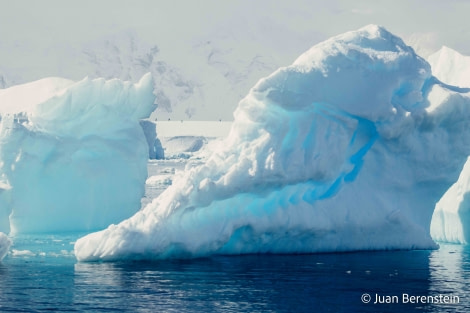 HDS21-22, Day 16, 2B5A3527 © Juan Berenstein - Oceanwide Expeditions.jpg