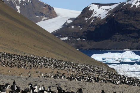 OTL22-22, Day 4, Devil island (9) © Regis Perdriat - Oceanwide Expeditions.jpg