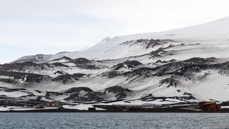 OTL23-22, Day 8 Whalers Bay © Sara Jenner - Oceanwide Expeditions.jpg