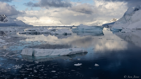 OTL24-22, Day 5 Paradise Harbour morning © Sara Jenner - Oceanwide Expeditions.jpg