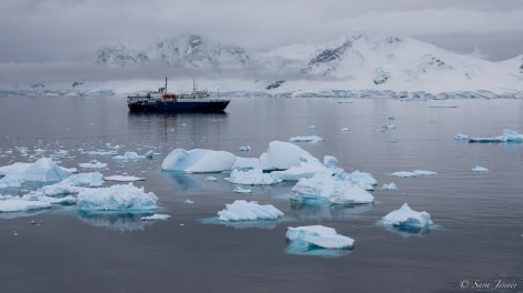 OTL24-22, Day 6 Paradise Harbour © Sara Jenner - Oceanwide Expeditions.jpg