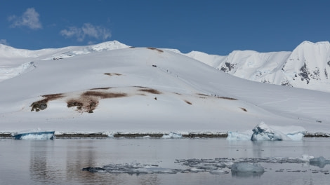 OTL24-22, Day 7 Danco 1 © Unknown Photographer - Oceanwide Expeditions.jpg