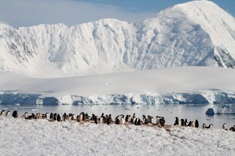 OTL24-22, Day 8 _FJ_7984 © Felicity Johnson - Oceanwide Expeditions.jpg