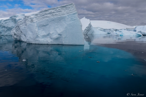 OTL24-22, Day 9 Foyn Harbour 2 © Sara Jenner - Oceanwide Expeditions.jpg