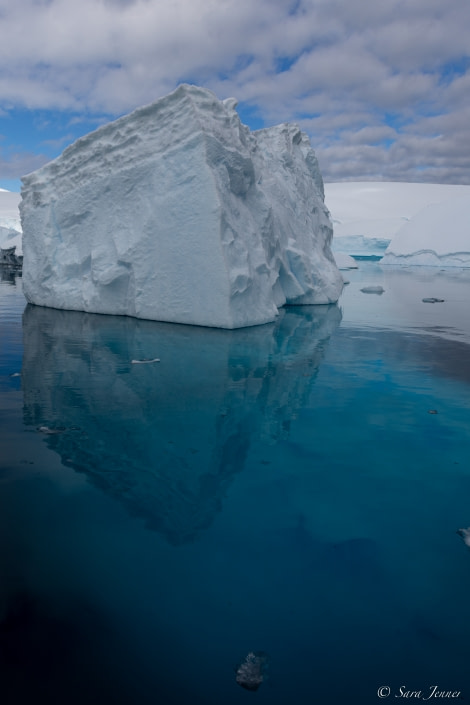 OTL24-22, Day 9 Foyn Harbour 4 © Sara Jenner - Oceanwide Expeditions.jpg