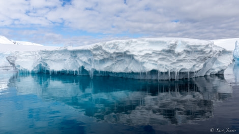 OTL24-22, Day 9 Foyn Harbour 7 © Sara Jenner - Oceanwide Expeditions.jpg