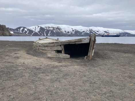 OTL24-22, Day 10 Whalers Bay © Unknown Photographer - Oceanwide Expeditions.JPG