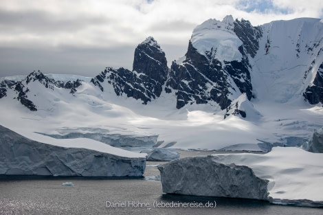 PLA24-22, Day 4 BC5I8705 © Daniel Hoehne - Oceanwide Expeditions.jpg