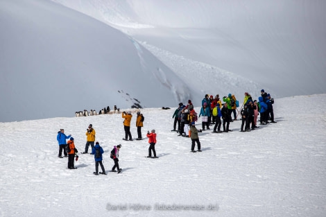 PLA24-22, Day 4 BC5I8708 © Daniel Hoehne - Oceanwide Expeditions.jpg