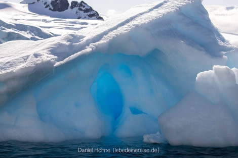 PLA24-22, Day 4 BC5I8952 © Daniel Hoehne - Oceanwide Expeditions.jpg