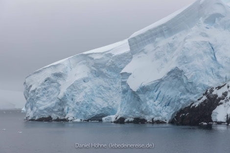 PLA24-22, Day 7 5D2A5694 © Daniel Hoehne - Oceanwide Expeditions.jpg