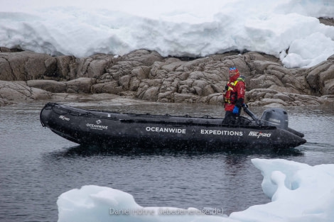 PLA24-22, Day 9 BC5I0460 © Daniel Hoehne - Oceanwide Expeditions.jpg