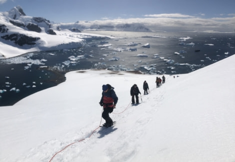 PLA24-22, Mountaineering 020 Cuverville Island - Mal Haskins © Mal Haskins - Oceanwide Expeditions.JPG