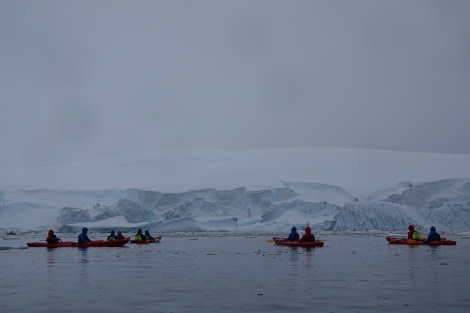 HDS24-22, Kayaking 17 Dec AM-1 © Unknown Photographer - Oceanwide Expeditions.JPG