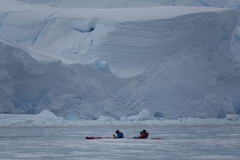 HDS24-22, Kayaking 18 Dec AM-2 © Unknown Photographer - Oceanwide Expeditions.JPG