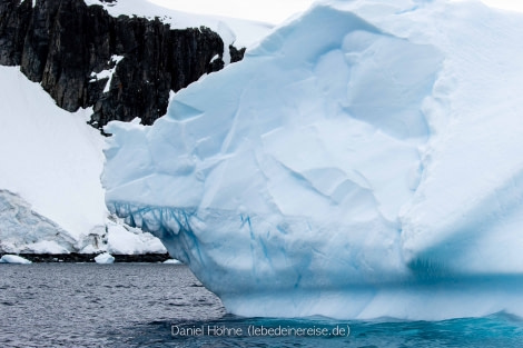 PLA25-23, Day 5 BC5I1078 © Daniel Hoehne - Oceanwide Expeditions.jpg