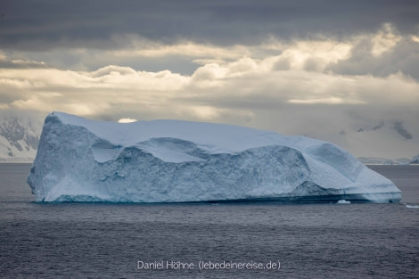 PLA25-23, Day 7 BC5I2428 © Daniel Hoehne - Oceanwide Expeditions.jpg