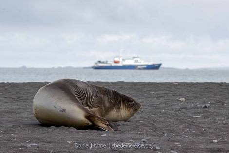 PLA25-23, Day 10 BC5I4421 © Daniel Hoehne - Oceanwide Expeditions.jpg