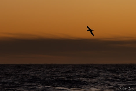 OTL25-23,  Day 2 Sunset 1 © Sara Jenner - Oceanwide Expeditions.jpg