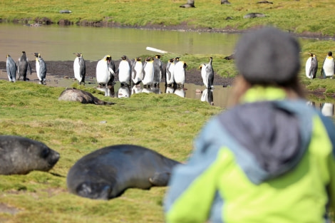 OTL25-23,  Day 8 Jane looking at sealspenguins- Elizabeth Robinson © Elizabeth Robinson - Oceanwide Expeditions.jpeg