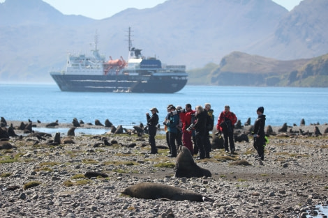 OTL25-23,  Day 8 Shipguestsseals- Elizabeth Robinson © Elizabeth Robinson - Oceanwide Expeditions.jpeg