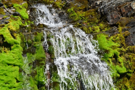 OTL25-23,  Day 8 Waterfall close up © Unknown Photographer - Oceanwide Expeditions.jpg