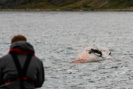 OTL25-23,  Day 9 lep and pax - felicity © Felicity Johnson - Oceanwide Expeditions.jpg