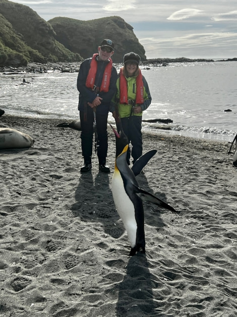 OTL25-23,  Day 10 Brendan and Jane Penguins © Unknown Photographer - Oceanwide Expeditions.jpeg