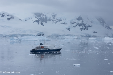 HDS25-23, Day 6, Neko 095A4575 © Martin Anstee - Oceanwide Expeditions.jpg