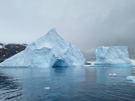 HDS25-23, Slideshow photos 20221227_152828 © Carina Ketterer - Oceanwide Expeditions.jpg