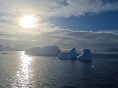 HDS25-23, Slideshow photos 20221227_200338 © Carina Ketterer - Oceanwide Expeditions.jpg