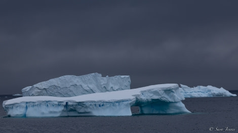 OTL26-23, Day 5, Ice 1 © Sara Jenner - Oceanwide Expeditions.jpg