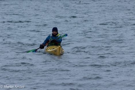 OTL26-23, Kayaking 095A5447 © Martin Anstee Photography - Oceanwide Expeditions.jpg