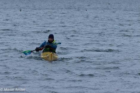 OTL26-23, Kayaking 095A5445 © Martin Anstee Photography - Oceanwide Expeditions.jpg