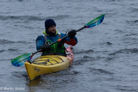 OTL26-23, Kayaking 095A5460 © Martin Anstee Photography - Oceanwide Expeditions.jpg