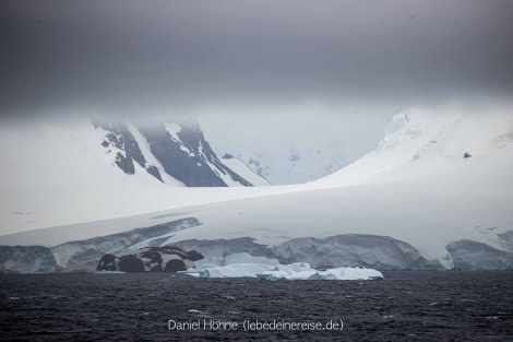 PLA26-23, Day 6 BC5I4985 © Daniel Hoehne - Oceanwide Expeditions.jpg