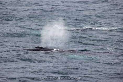 PLA26-23, Day 6 BC5I5043 © Daniel Hoehne - Oceanwide Expeditions.jpg