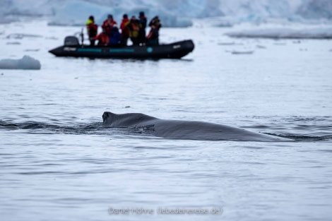 PLA26-23, Day 6 BC5I5802 © Daniel Hoehne - Oceanwide Expeditions.jpg