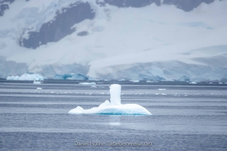 PLA26-23, Day 6 BC5I6253 © Daniel Hoehne - Oceanwide Expeditions.jpg