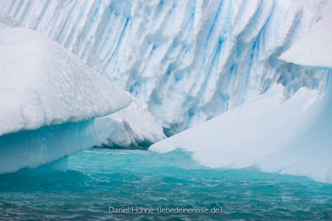 PLA26-23, Day 8 BC5I7429 © Daniel Hoehne - Oceanwide Expeditions.jpg