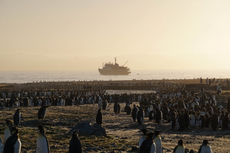 PLA27-23, day 9 andrew_Plancius © Unknown Photographer - Oceanwide Expeditions.jpg