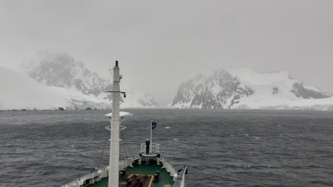 PLA28-23, Day 6 20230206_210518 © Unknown Photographer - Oceanwide Expeditions.jpg