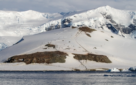 HDS28A23, Day 4, Danco - Felicity J-2 © Felicity Johnson - Oceanwide Expeditions.jpg